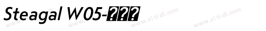Steagal W05字体转换
